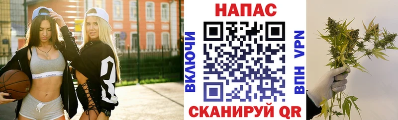 где можно купить   Голицыно  Конопля Bruce Banner 